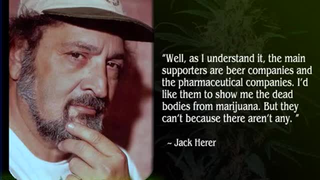 Study: Alcohol More Dangerous Than LSD, Ecstacy, Meth, Heroin...