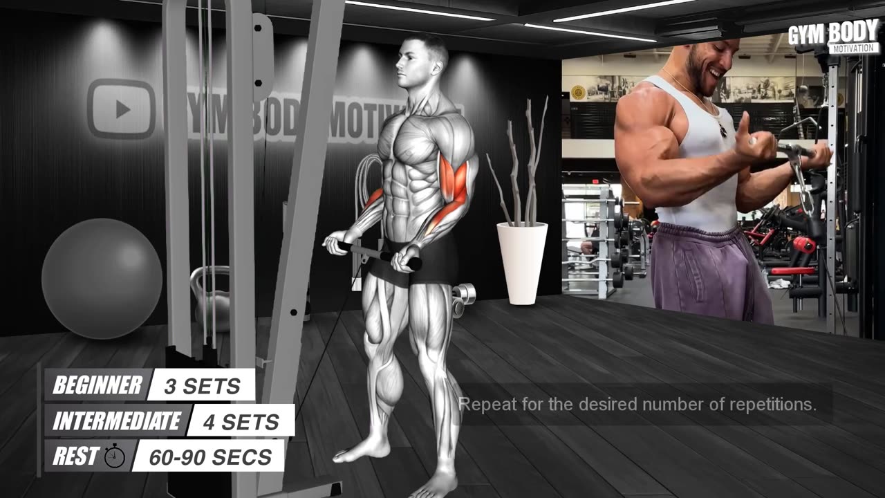 Best Bicep Workout at Gym Guide For Fast Growth Naturally