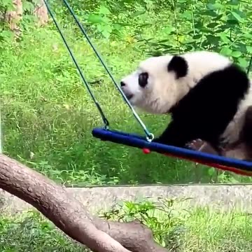 In any business you need to be persistent and not give up