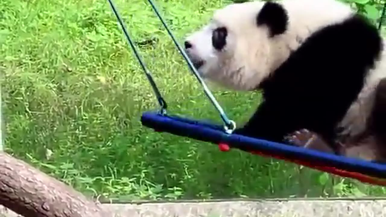 In any business you need to be persistent and not give up