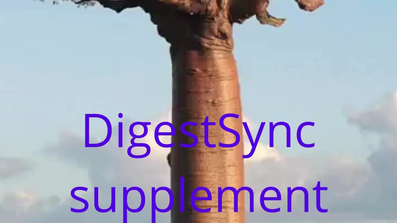 DigestSync Supplements