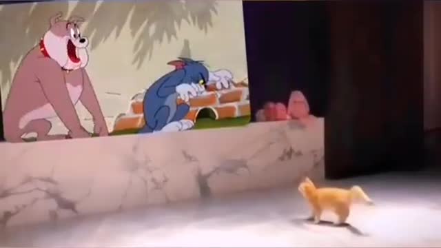 Run as fast as you can