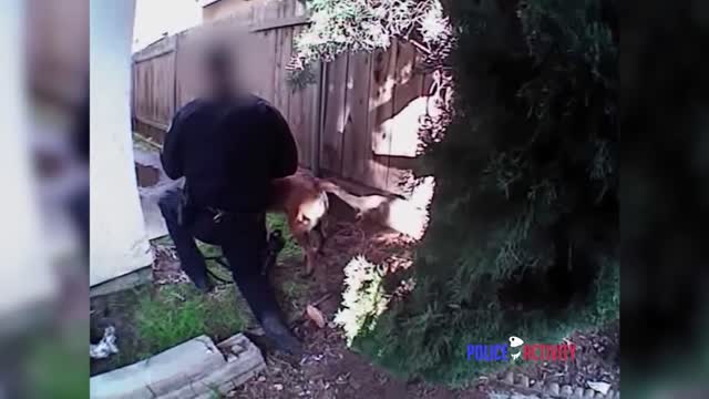 ChopperBodycam Video Of Officer-Involved Shooting In San Diego, California