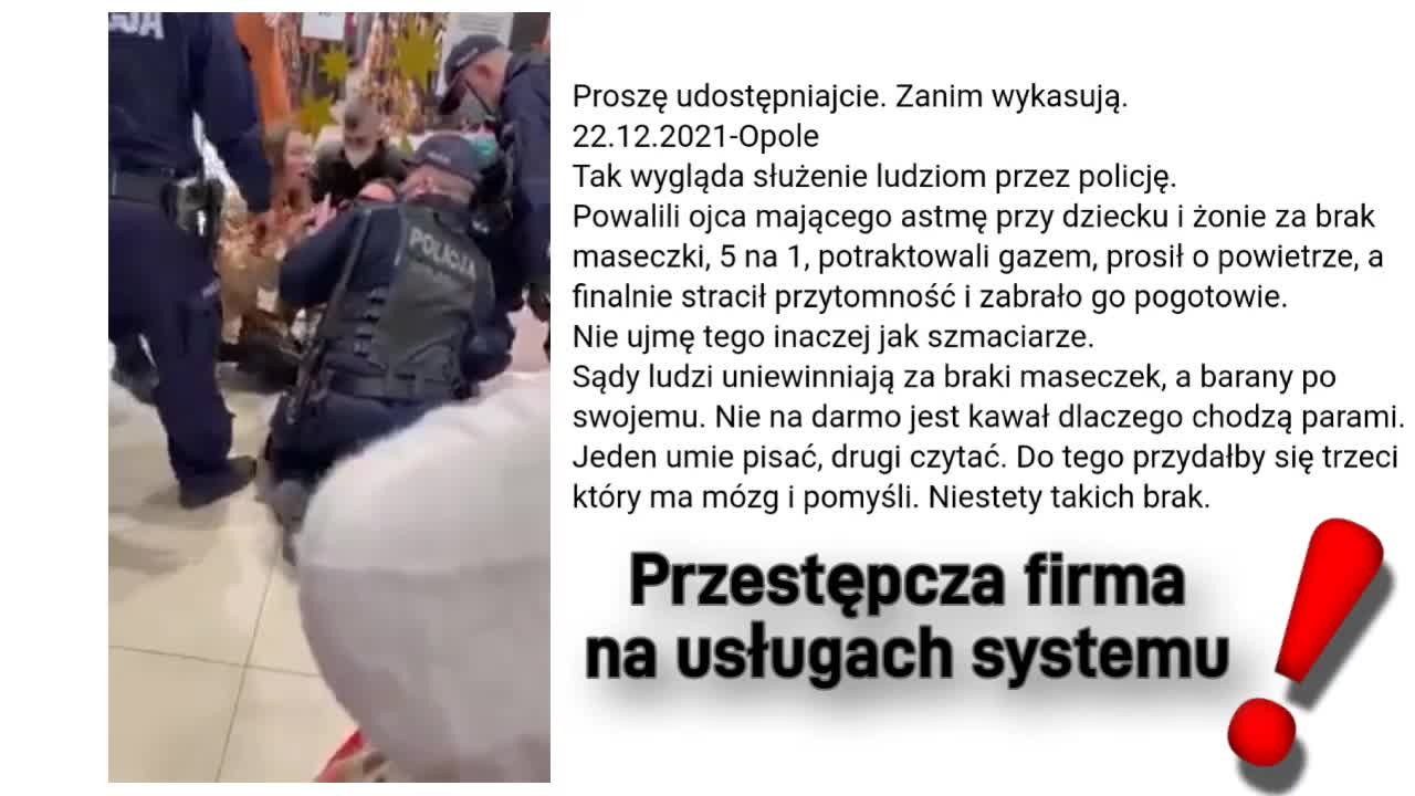 Milicja na usługach systemu