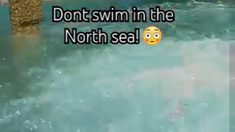 The North Sea Is Scary 🦈🤯