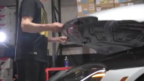 Paul walkers supra