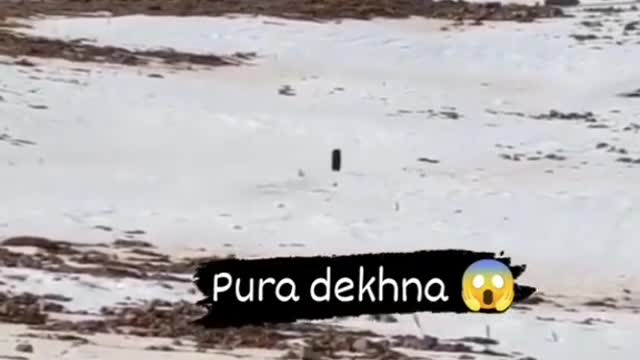 Don't miss ending 😱😱😱👇