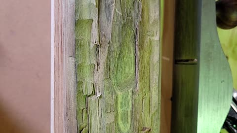 Woodcarving Trivia Time - WHAT IS IT?