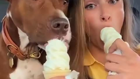 Best Funny Animal Videos 2022 😺 Funny Dog Videos 2022 😁 Funniest Dog Videos 😁😇