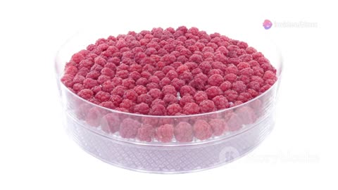 Fruits with the Highest and Lowest Sugar Levels
