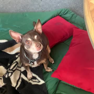 Snack time with CK and his sisters