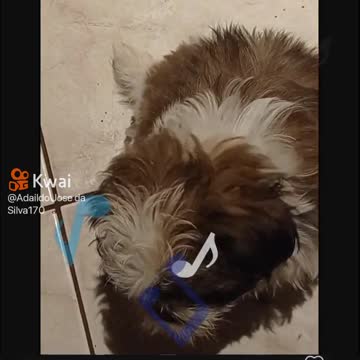 very cute 👀🤔❤️