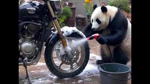 Panda wash motorcycle and kids great work