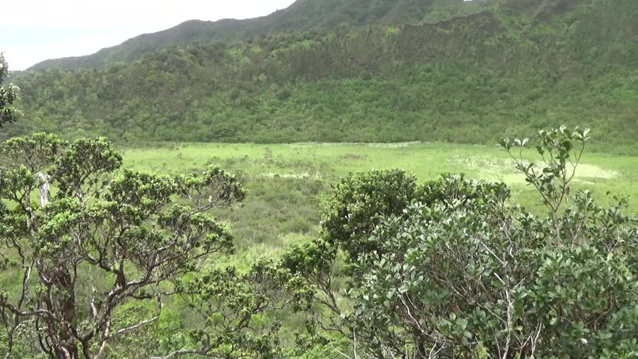 Honolulu, HI — Ka'au Crater Trail #4