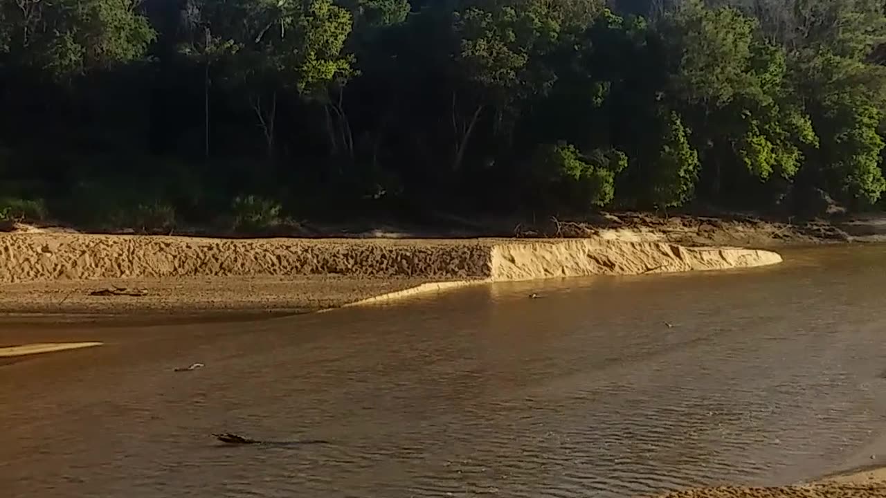 7.11.2024 The Barron River, Kuranda (1)