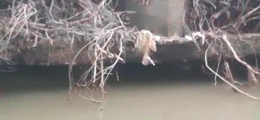 Habitante denunció estado de puente