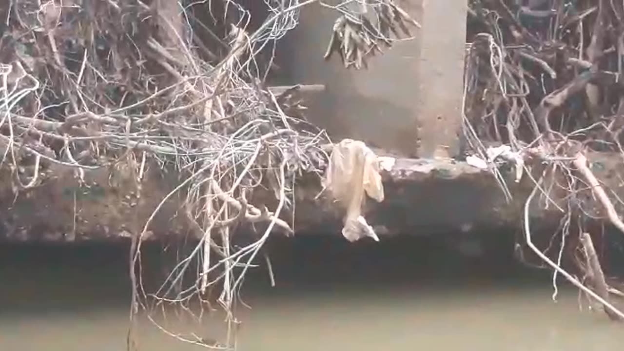 Habitante denunció estado de puente