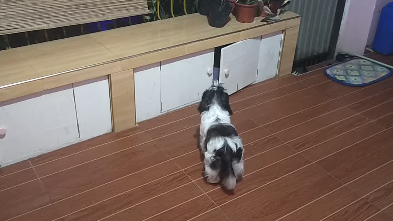 Aze's reaction Everytime we come home..