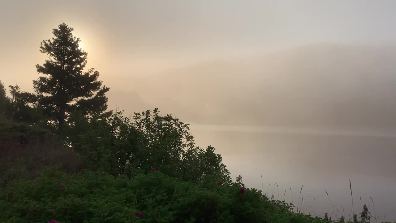 Beauty sunrise
