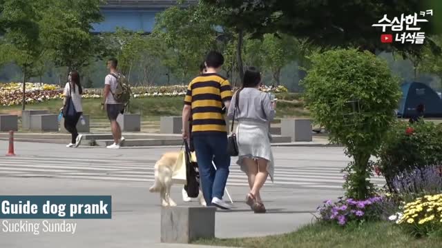 Best Korean Pranks that you have ever watched