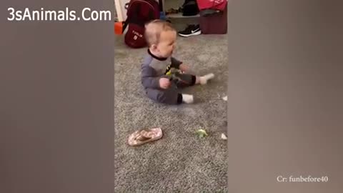 Cute baby and pets