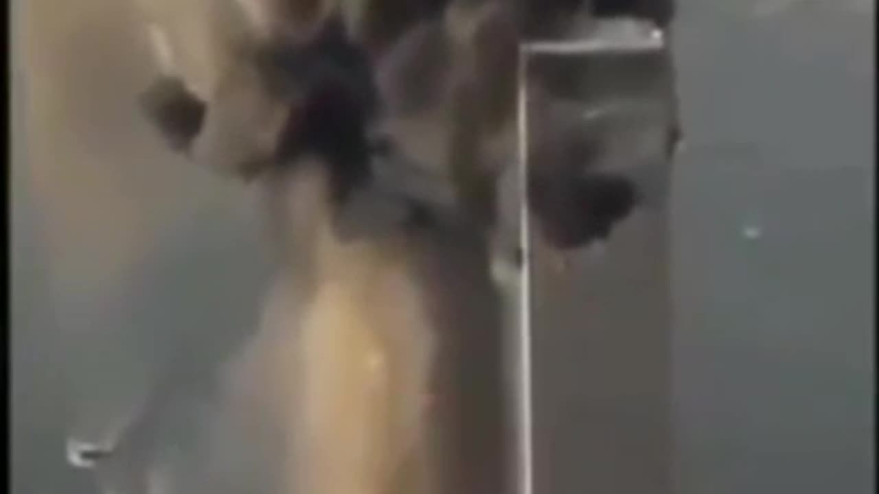 The Real Video Images of 911