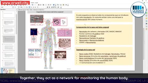 MAC-cinated - Intra-body nano-network