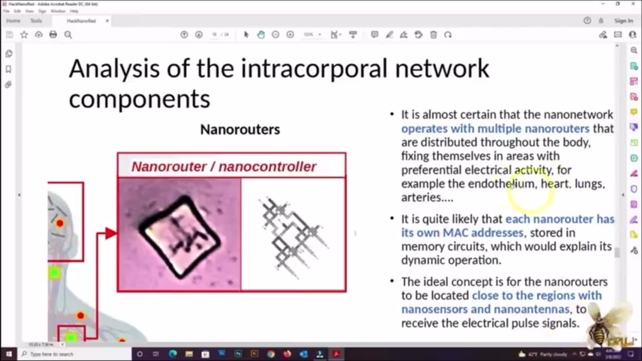 An Analysis Of The Intracorporal Network Components