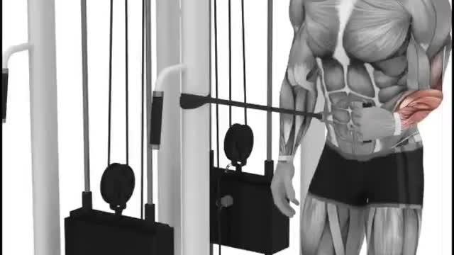 Best Forearms Workout For Men And Women