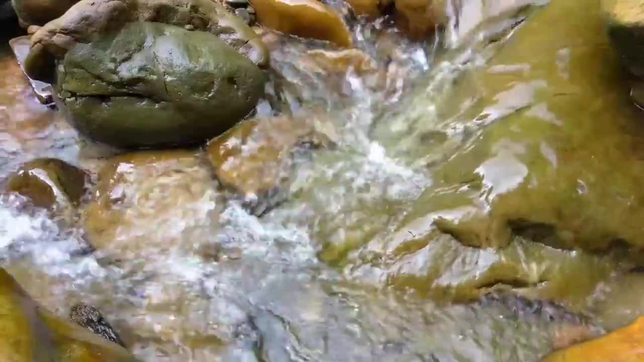 Natural sound || Relax Music