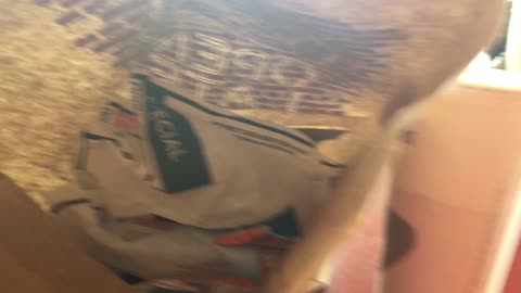 Quesarito Bag