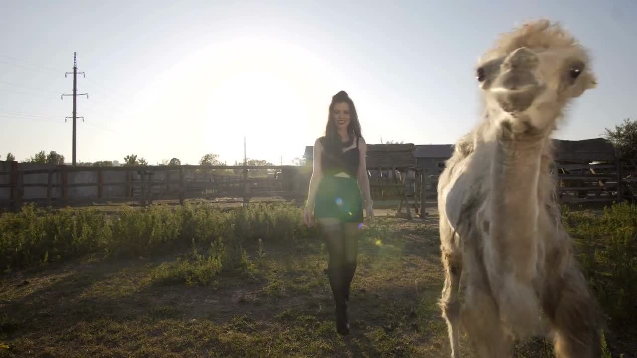 Girl interacts with a camel