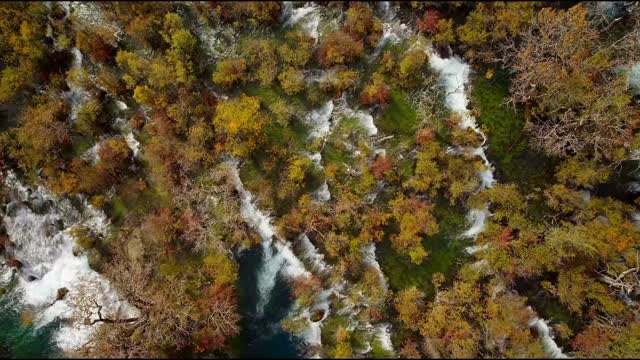 The Beauty of Nature | HD