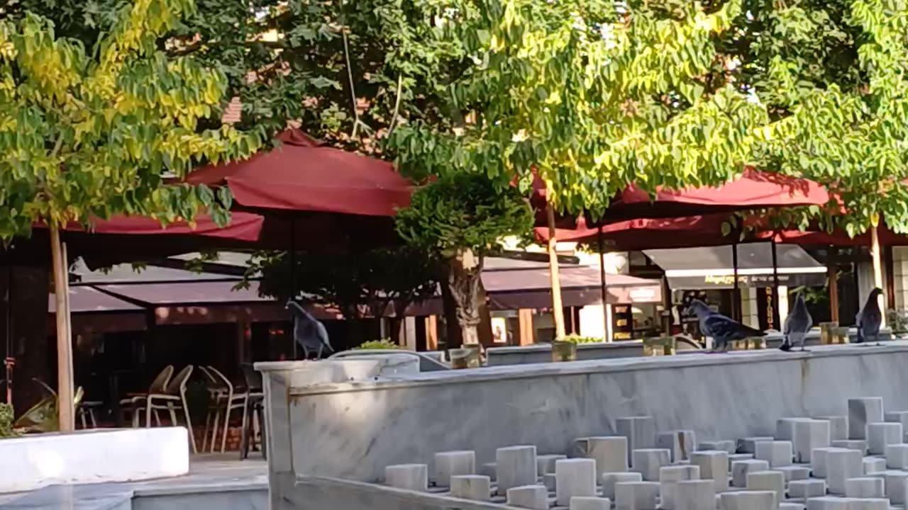 Good morning from Greece