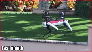 WATCH: Robot Dog Protects Trump while Kids Play at Mar-a-Lago