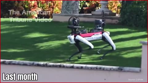 WATCH: Robot Dog Protects Trump while Kids Play at Mar-a-Lago