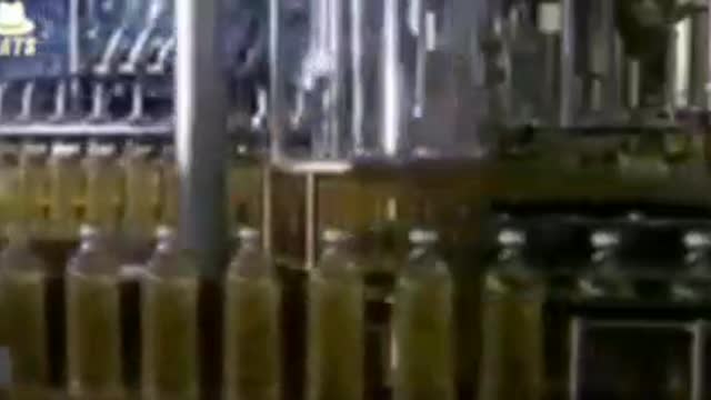Why you should avoid vegetable oil.