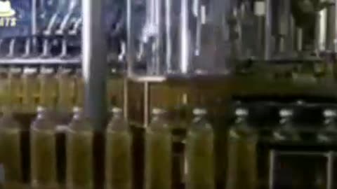 Why you should avoid vegetable oil.