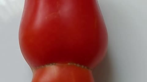These tomatoes grow in my garden. That's lucky.