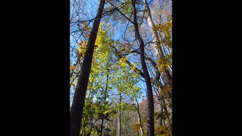 Autumn in East Tennessee