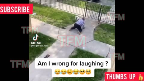 Dogs Chasing People