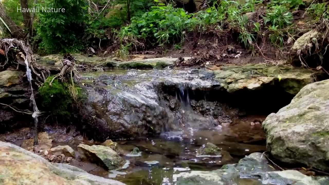 MAGNIFICENT Native American Flute – Healing Aid – POWERFUL De-stressing – Regenerating Sleep