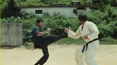 Way Of The Dragon Fight Scenes