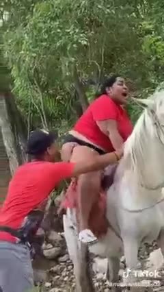 Best Funny Videos & Entertainment