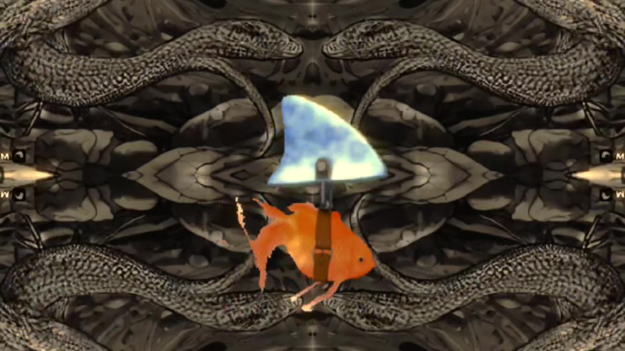 A Letter to Government