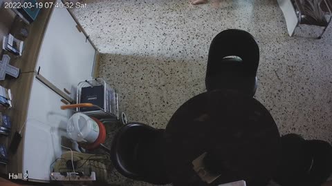 hallmid midnight 20220319