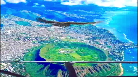 FLY TO APPRECIATE THE VIEW
