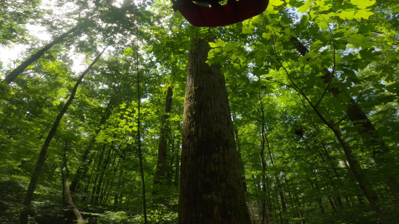 Mountain Biking the Pisgah National Forest