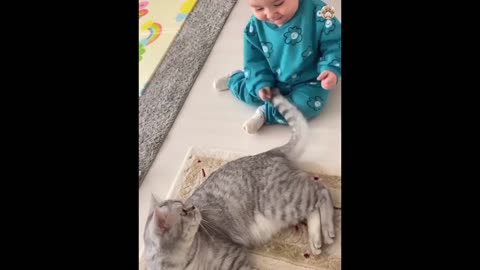 New Funny Animals �� Funniest Cats and Dogs Videos ����-(1080p)