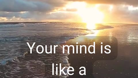 Life Facts
